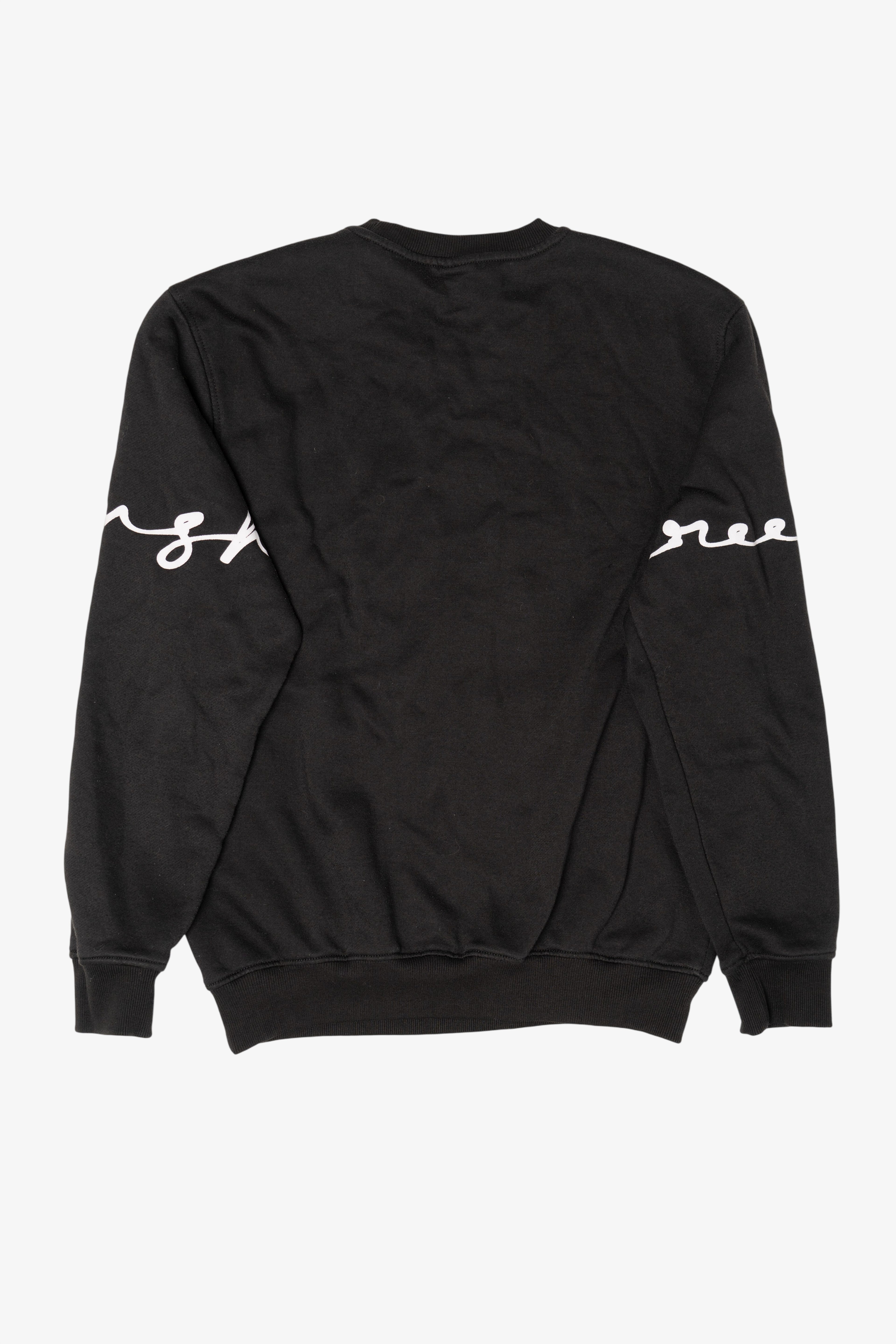 Black Screenshot Teddy Bear Sweatshirt (2020s)