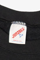 Vintage Three Wolves Raglan Sweatshirt (1990s)