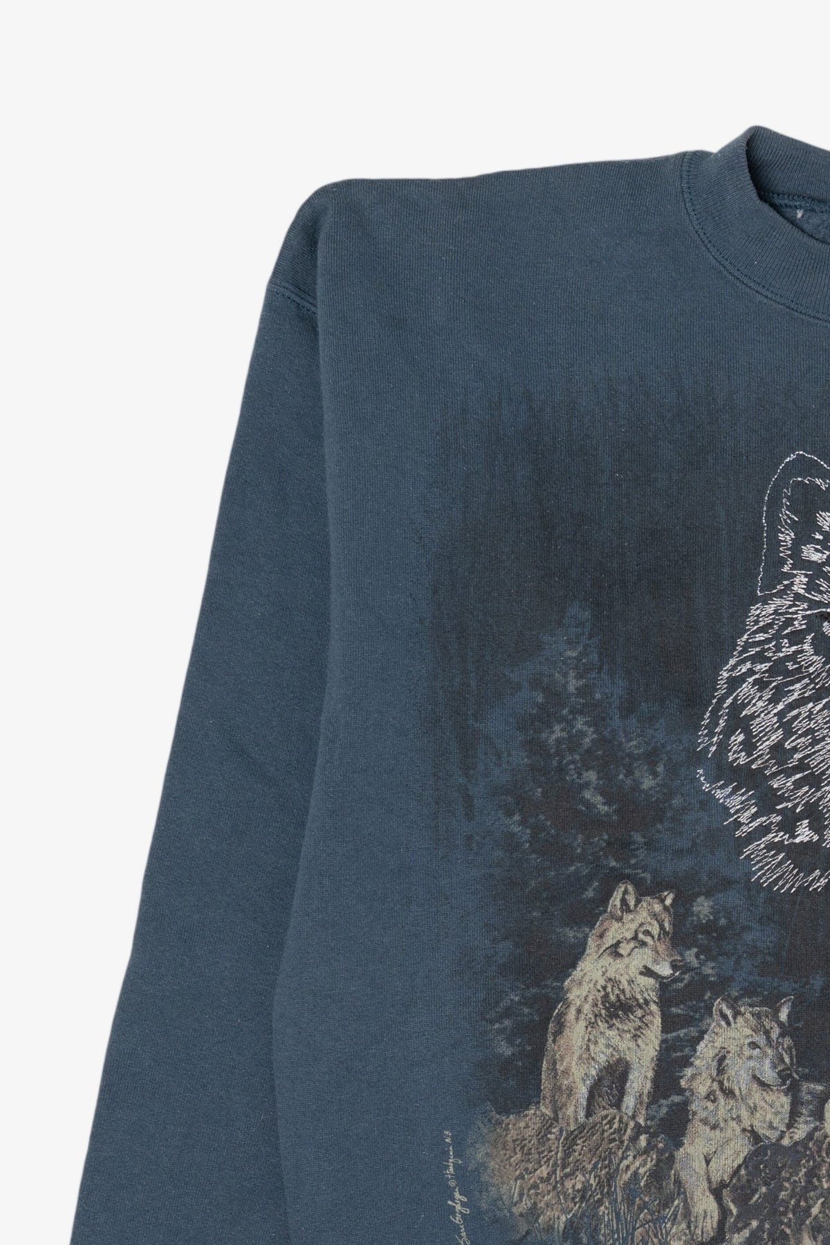 Vintage Embroidered Blue Wolves Sweatshirt (1990s)