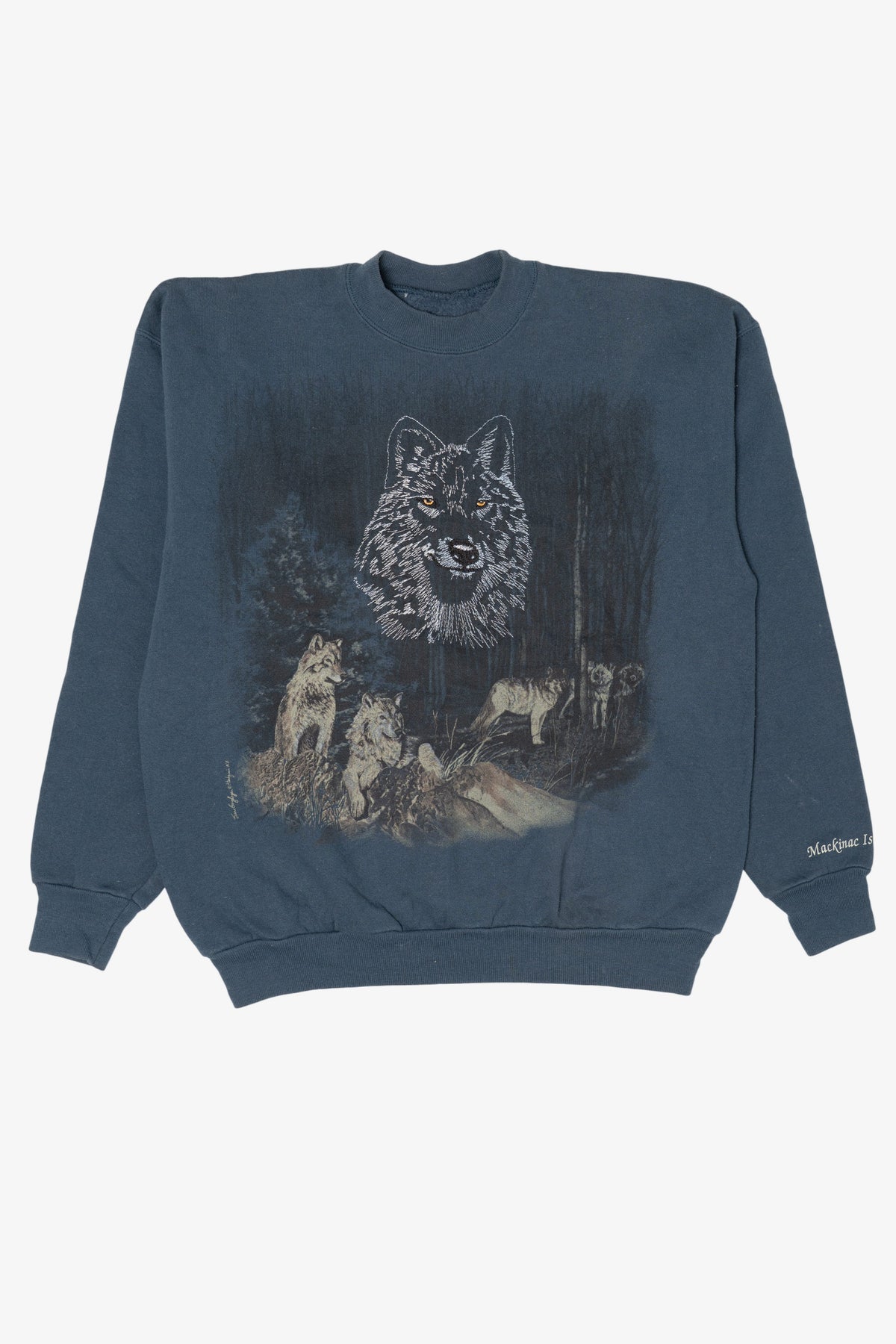 Vintage Embroidered Blue Wolves Sweatshirt (1990s)