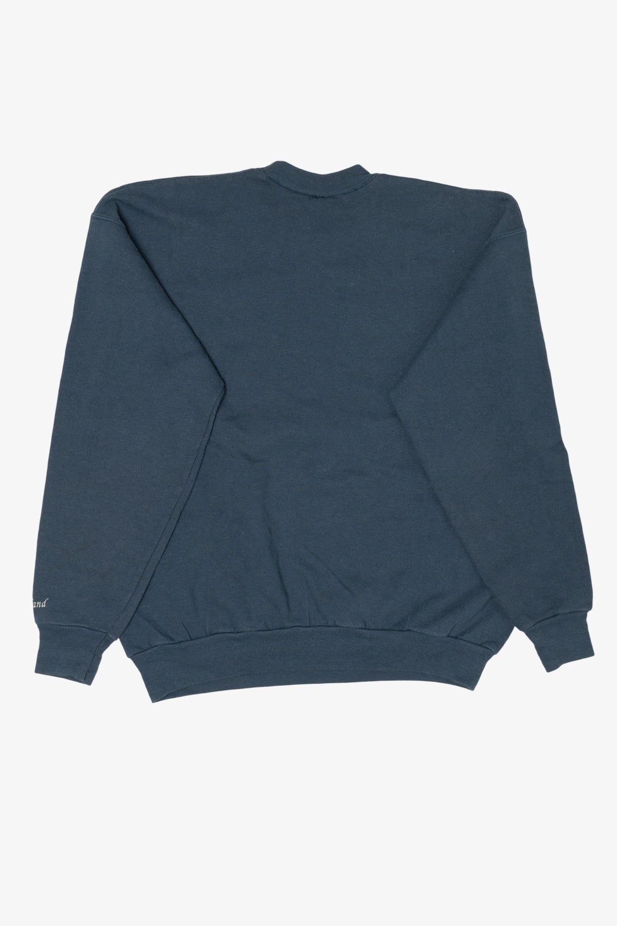 Vintage Embroidered Blue Wolves Sweatshirt (1990s)