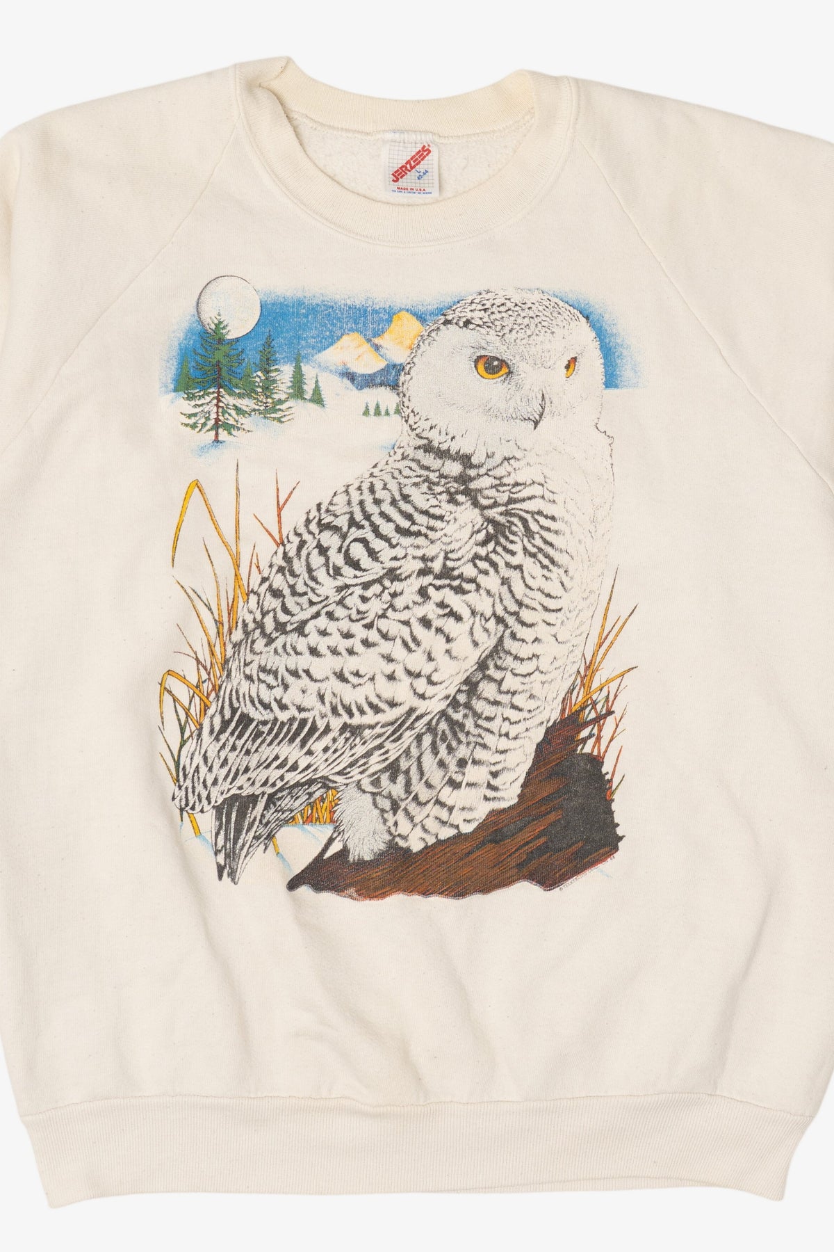 Vintage Snowy Owl Raglan Sweatshirt (1990s)