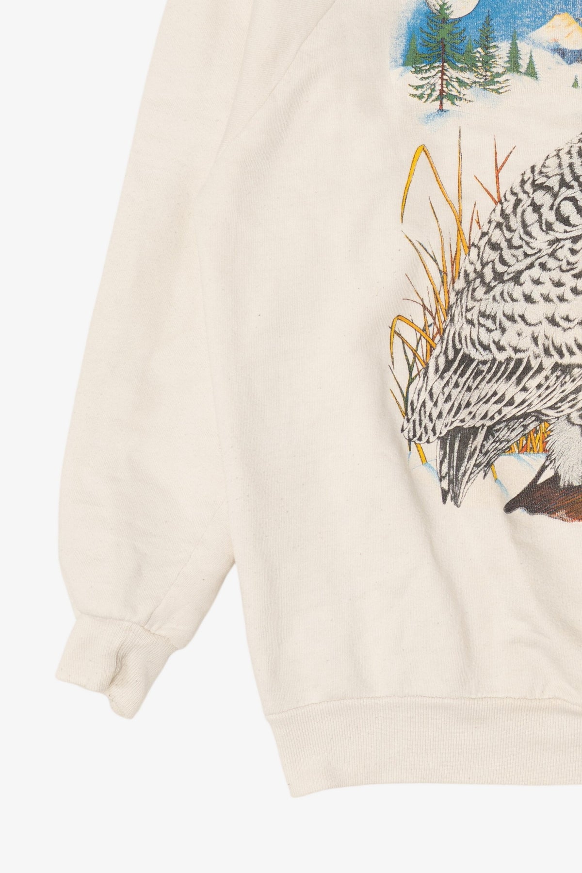 Vintage Snowy Owl Raglan Sweatshirt (1990s)