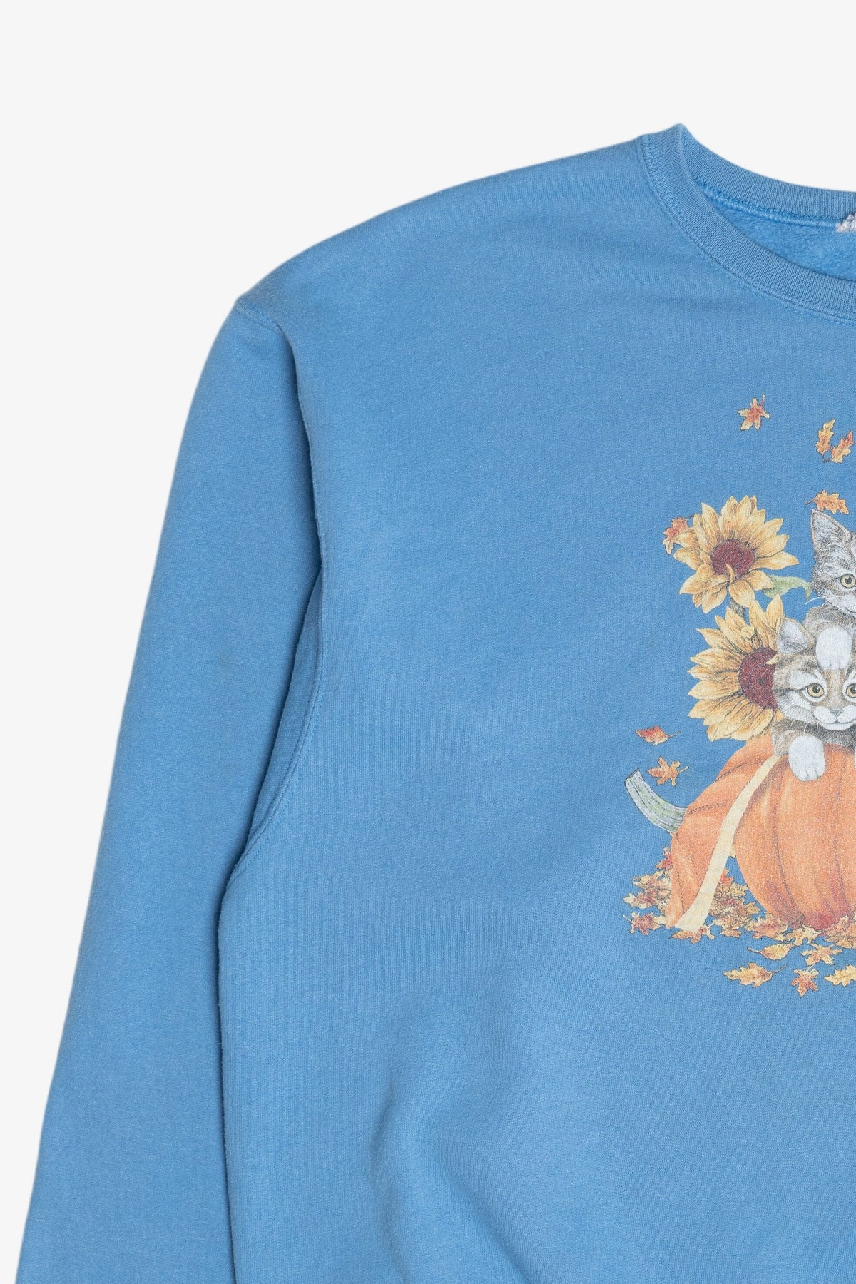 Vintage Cats In A Pumpkin Fall Harvest Sweatshirt (1990s)