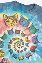 Cat Spiral Rainbow Tie Dye T-Shirt (2010s)