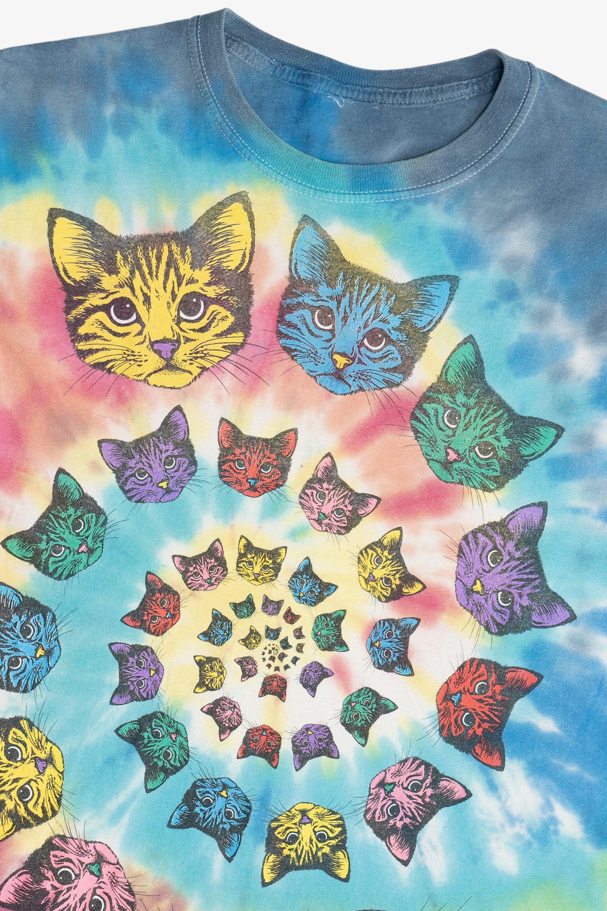 Cat Spiral Rainbow Tie Dye T-Shirt (2010s)