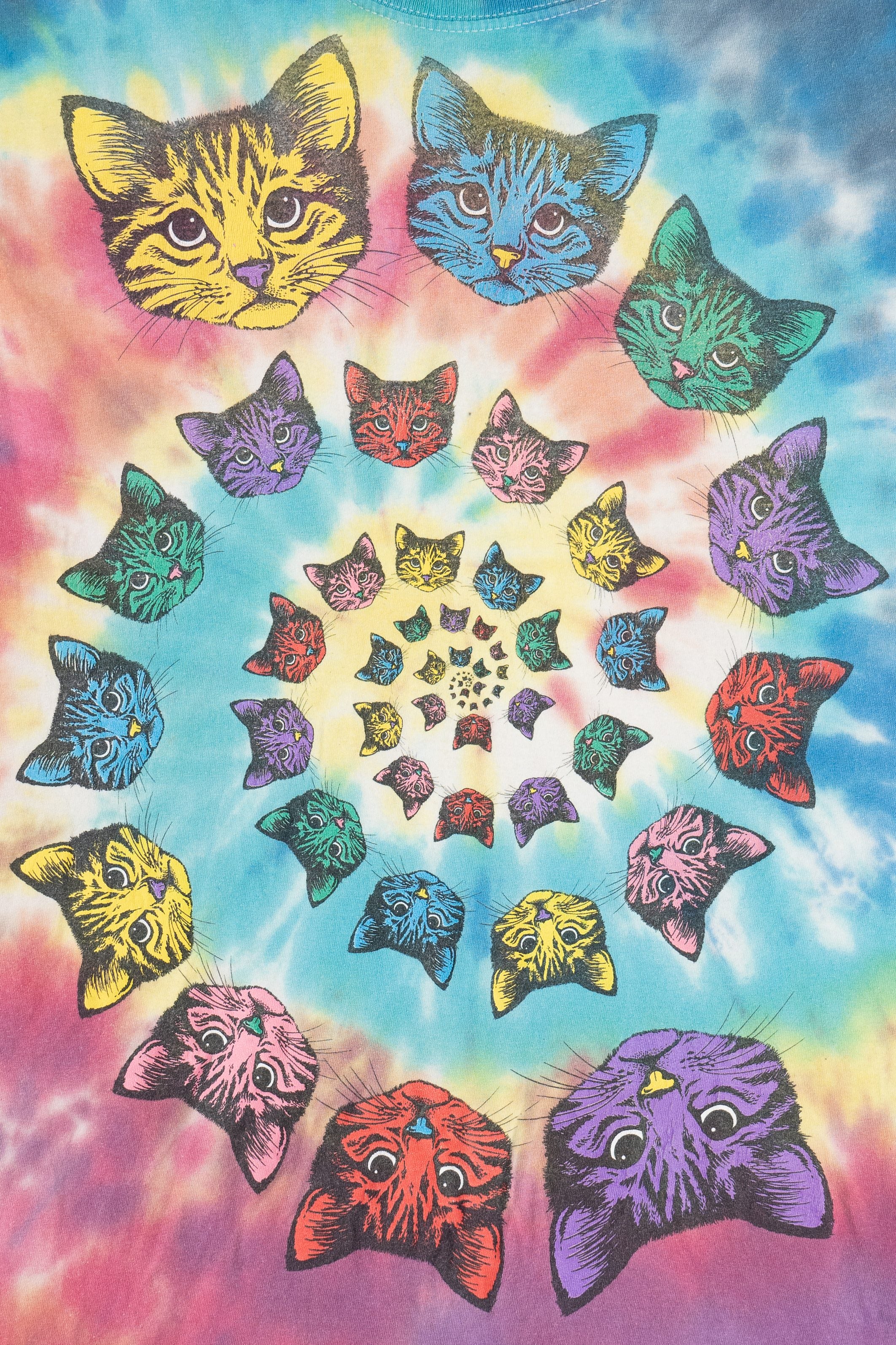 Cat Spiral Rainbow Tie Dye T-Shirt (2010s)