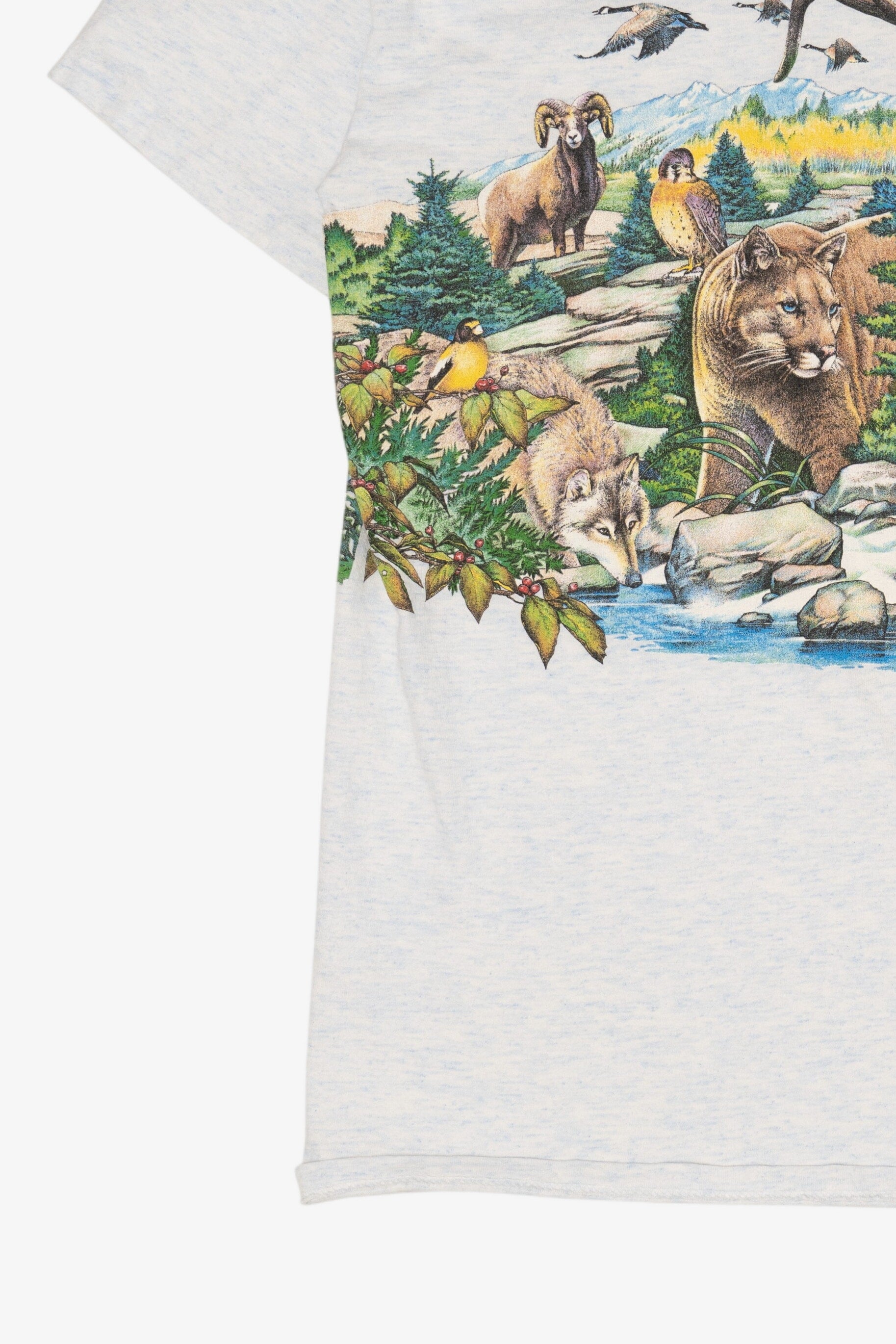 Vintage Animal Kingddom Wrap Around Graphic T-Shirt (1990s)