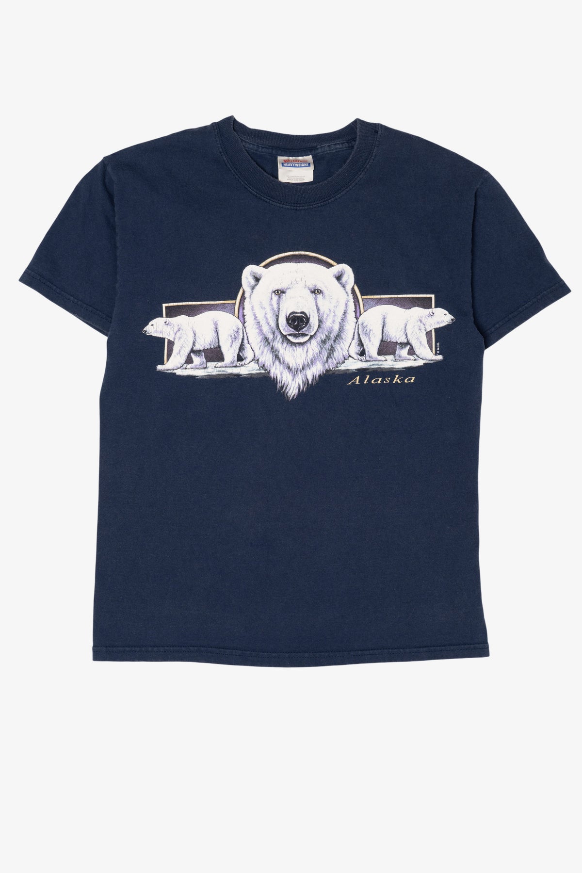 Vintage Navy Blue "Alaska" Polar Bears T-Shirt (1990s)