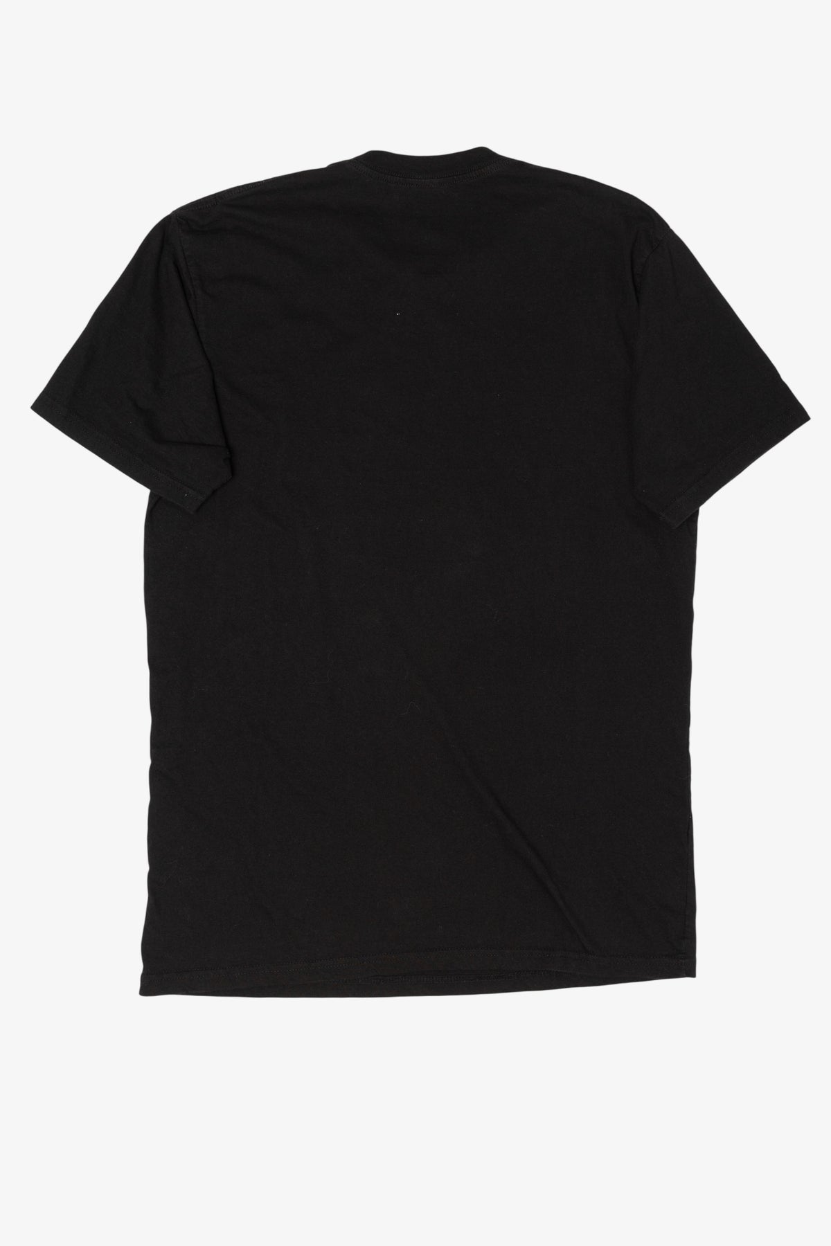 Vintage Bob Marley Lion T-Shirt (2000s)