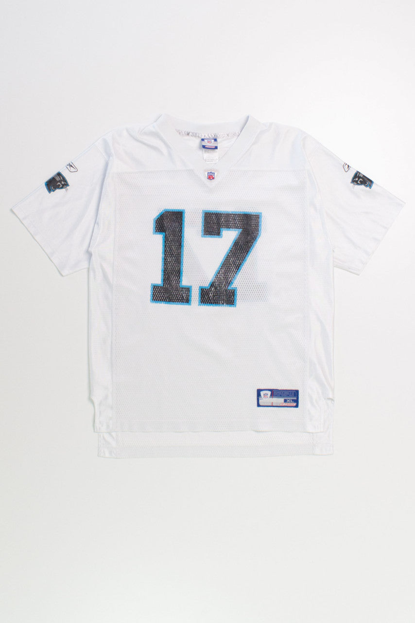 Carolina Panthers Delhomme (#17) Jersey (2000s)