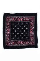 Black & Red Bandana 1