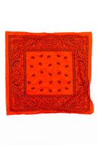 Orange & Black Bandana