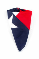 Texas Flag Vintage Bandana