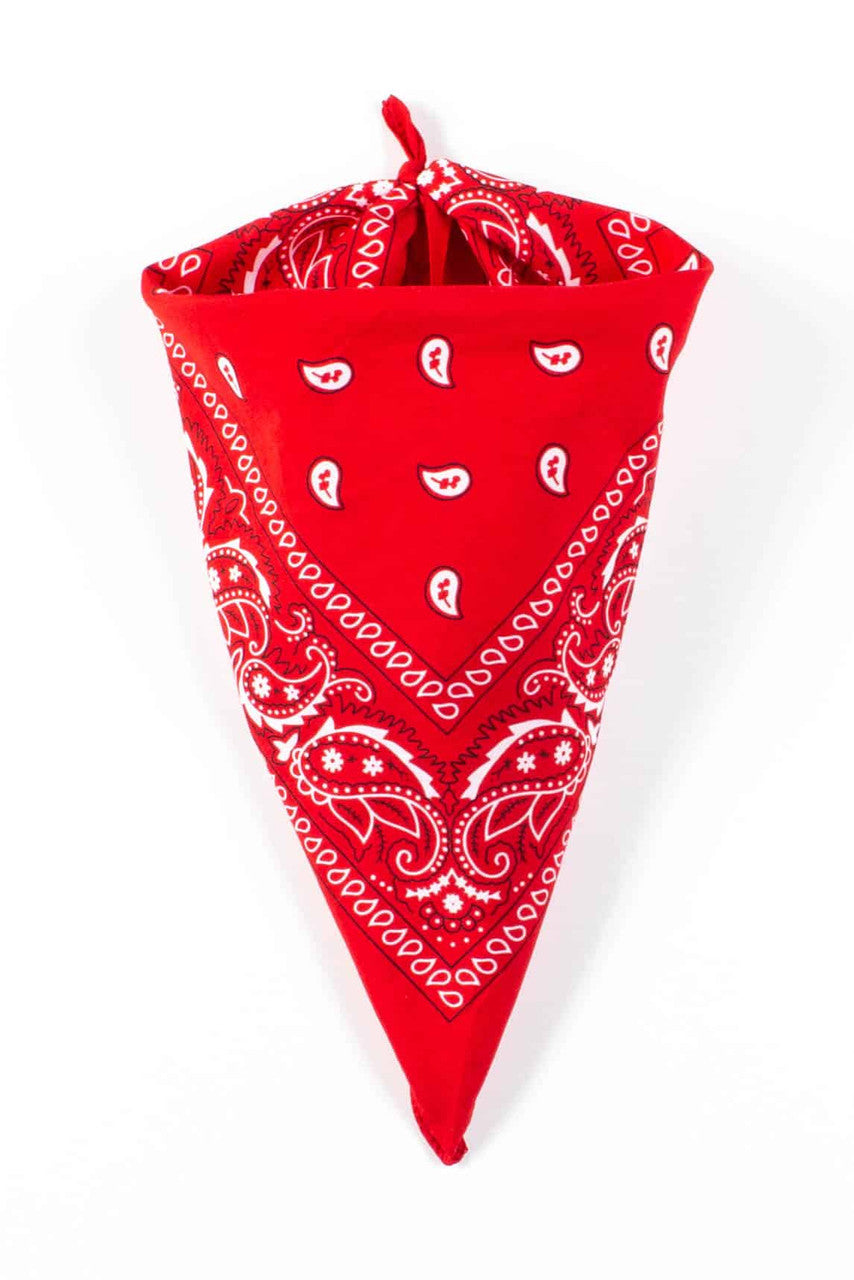Silky Red Bandana