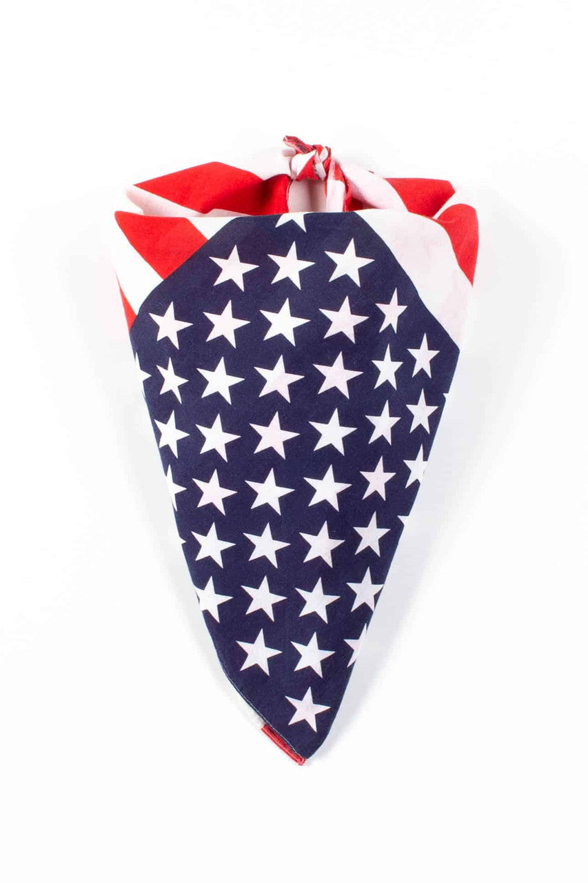American Flag Bandana 13