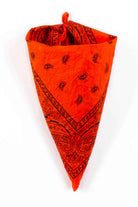 Orange & Black Bandana