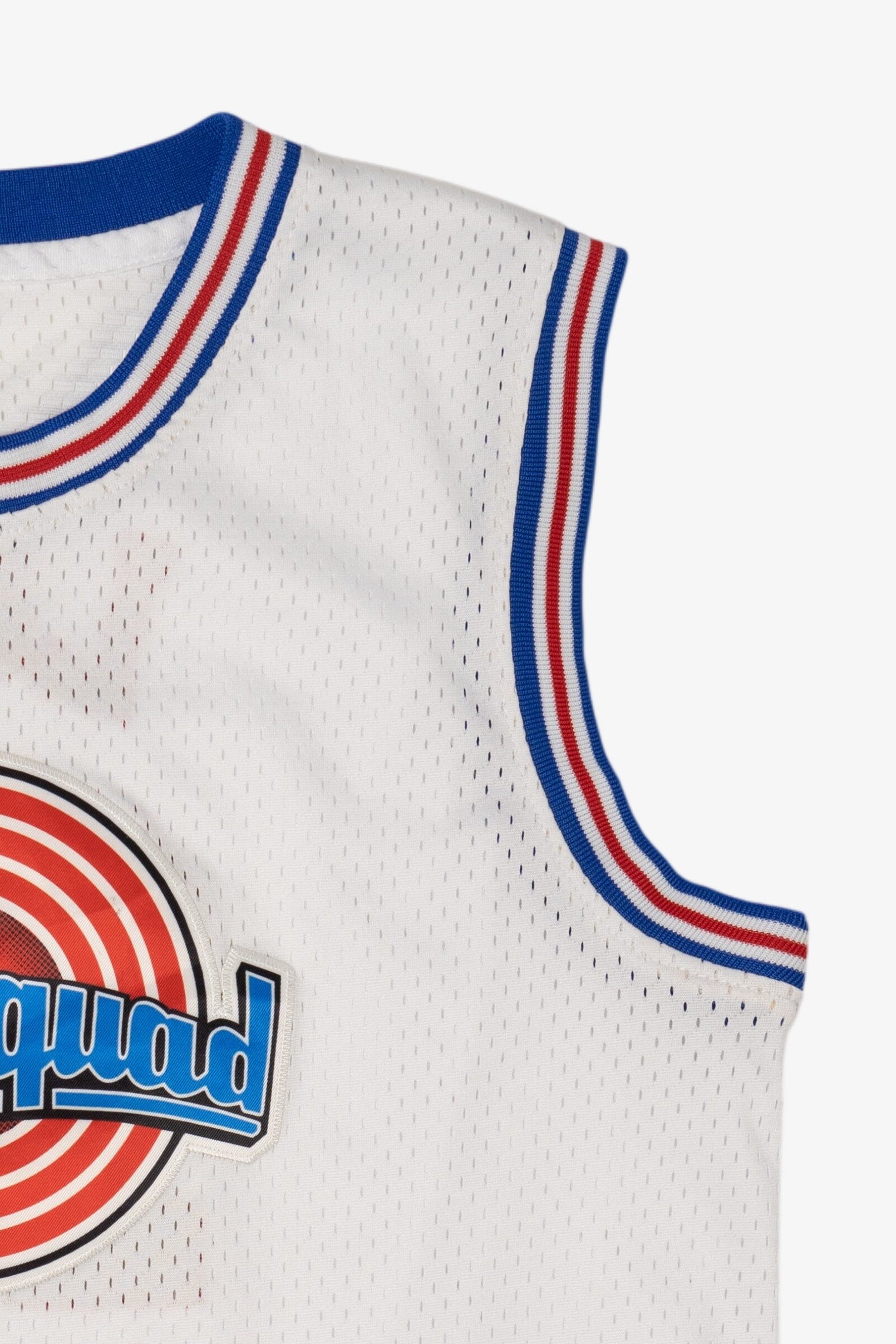 Space Jam Looney Tunes "Time Squad" Lola #10 Basketball Jersey