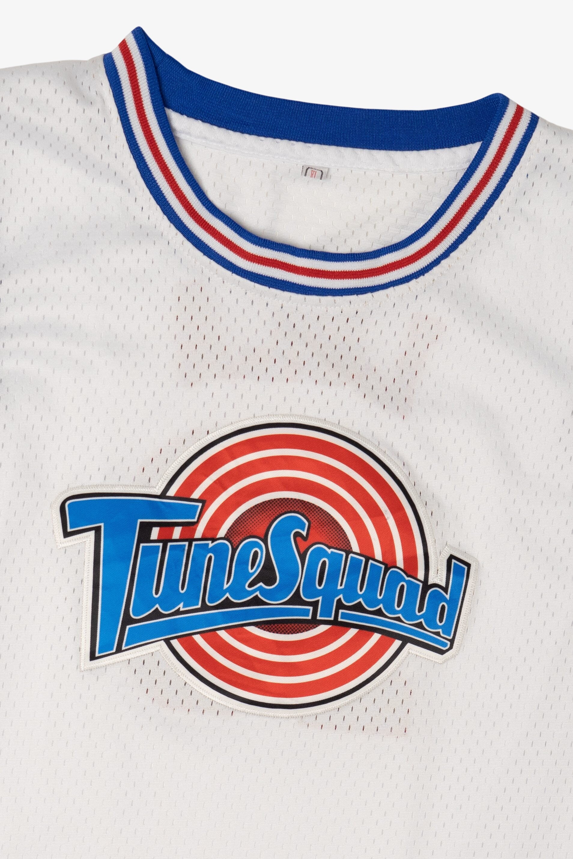 Space Jam Looney Tunes "Time Squad" Lola #10 Basketball Jersey