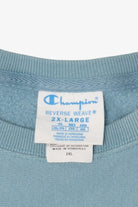 Light Blue Champion Sweatshirt (2010s)