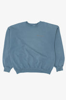 Blue Champion  Sweatshirt (2010s)