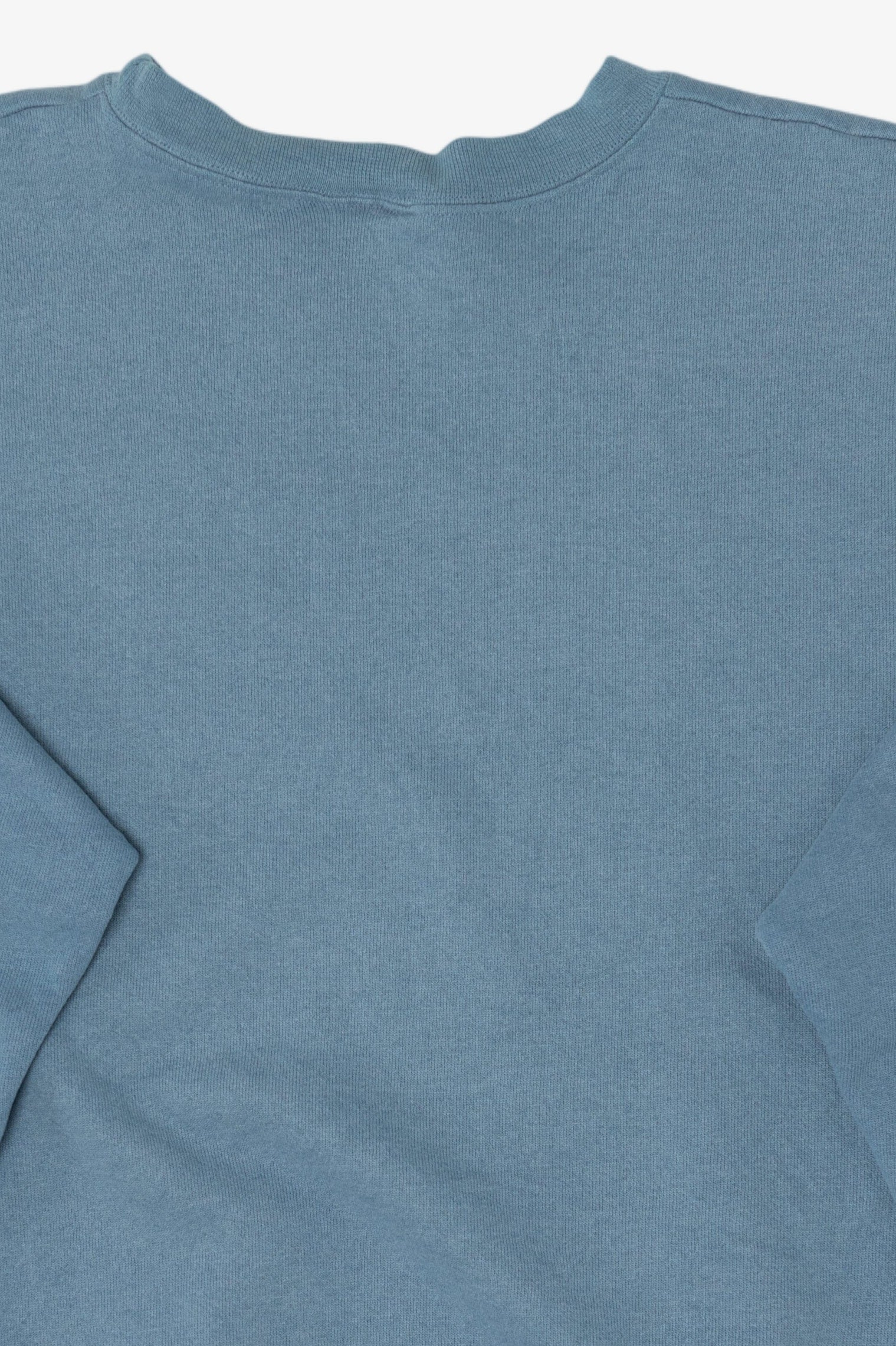 Blue Champion  Sweatshirt (2010s)