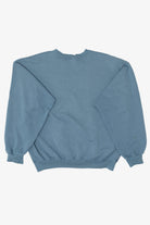 Blue Champion  Sweatshirt (2010s)