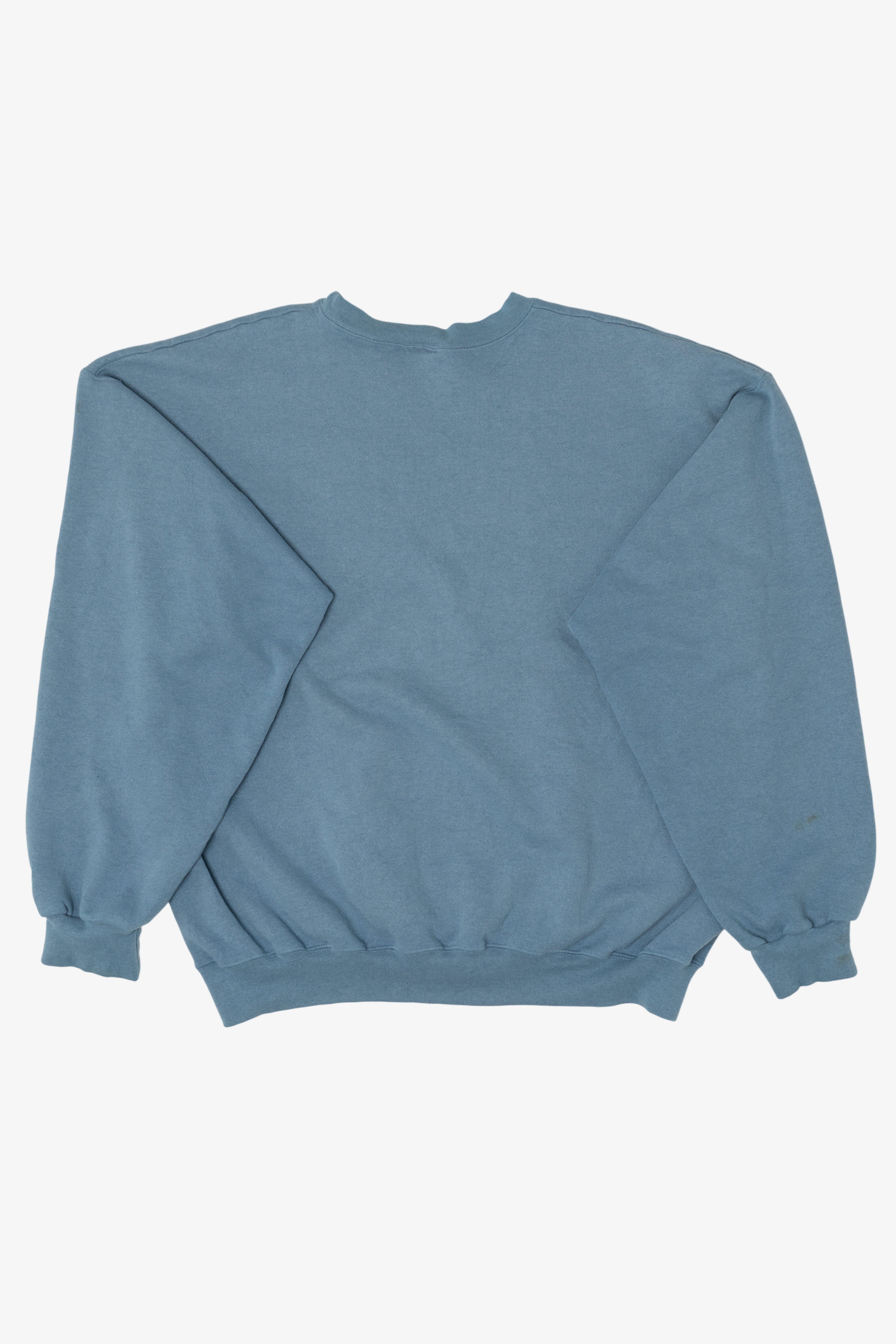 Blue Champion  Sweatshirt (2010s)