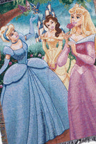 Disney Princess Tapestry Blanket (2000s)