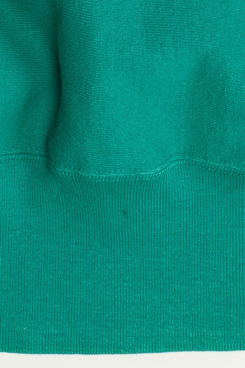 Vintage "Iowa State" Champion Reverse Weave College Sweatshirt (1990s)