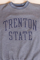 Vintage Trenton State Reverse Weave Sweatshirt (1990s)
