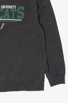 Vintage Wilmington University Wildcats Jansport Sweatshirt (1990s)