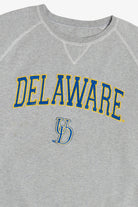 Vintage "Delaware" University of Delaware College Sweatshirt (2000s)