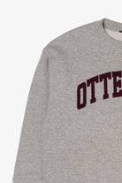 Vintage University Of Otterbein Sweatshirt (1990s)