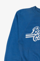 Vintage Blue Baruch College Raglan Sweatshirt (1990s)