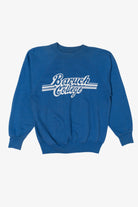 Vintage Blue Baruch College Raglan Sweatshirt (1990s)