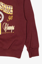 Vintage Florida State National Champs 1993 Sweatshirt (1990s)