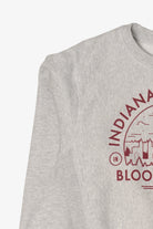 Light Gray Indiana University Bloomington Sweatshirt (2020s)