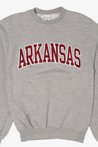 Vintage Gray Arkansas Sweatshirt (2000s)