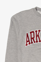 Vintage Gray Arkansas Sweatshirt (2000s)