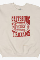 Vintage Distressed Saltsburg Trojans State Playoffs 1991 Sweatshirt (1990s)