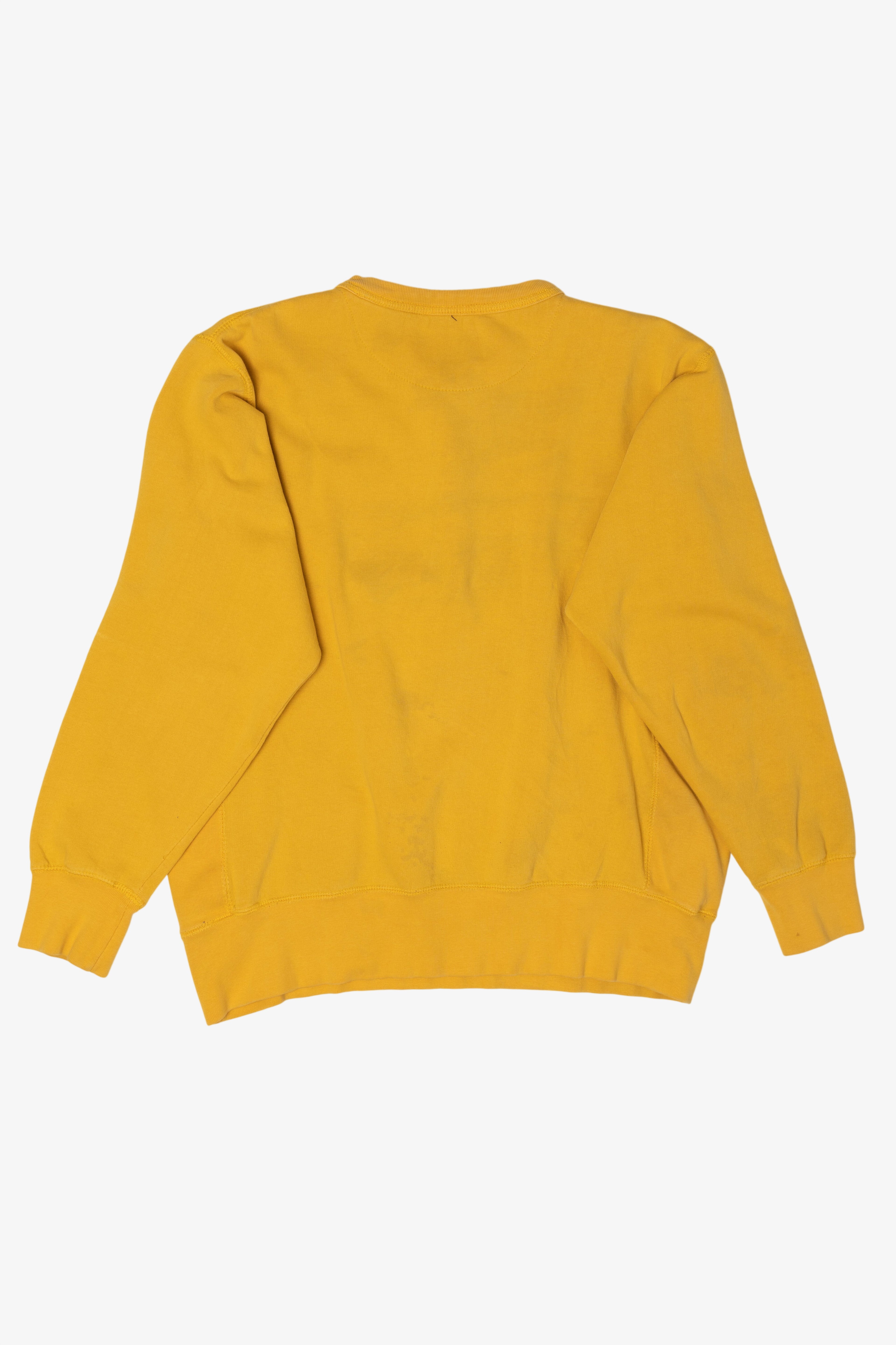 Vintage Minnesota Golden Gophers Sweatshirt (2000s)