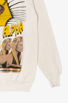 Vintage Alpha Phi Alpha Egyptian Pharaoh Raglan Sweatshirt (1990s)