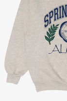 Vintage SpringArbor College Alumni Sweatshirt (1990s)