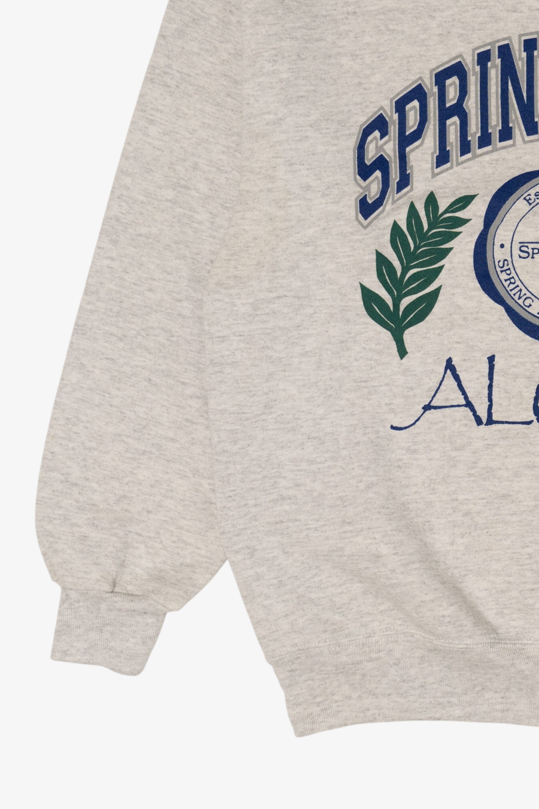 Vintage SpringArbor College Alumni Sweatshirt (1990s)
