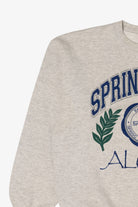 Vintage SpringArbor College Alumni Sweatshirt (1990s)