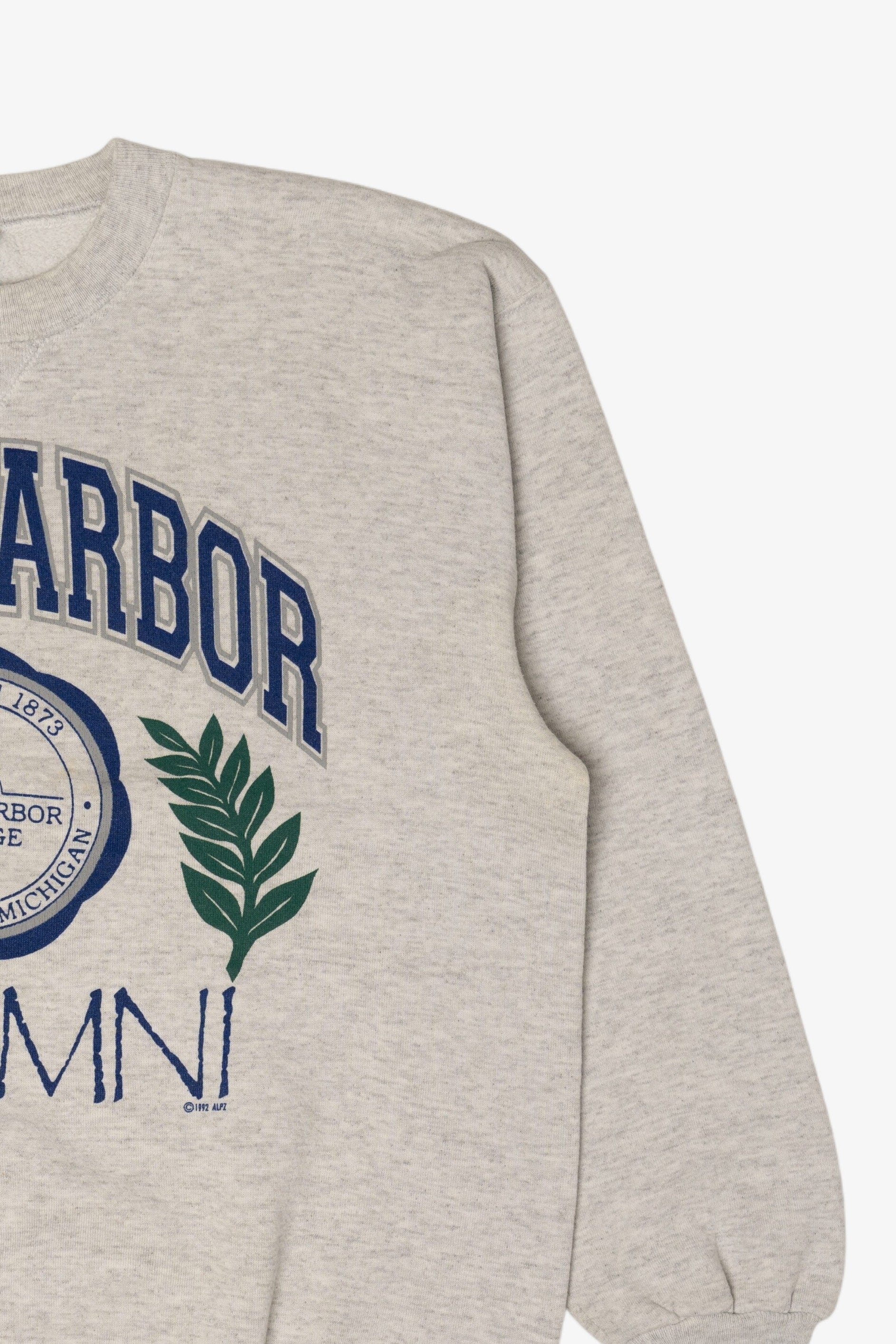 Vintage SpringArbor College Alumni Sweatshirt (1990s)