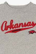 Vintage Gray Arkansas Razorbacks Sweatshirt (2000s)