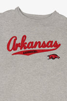 Vintage Gray Arkansas Razorbacks Sweatshirt (2000s)
