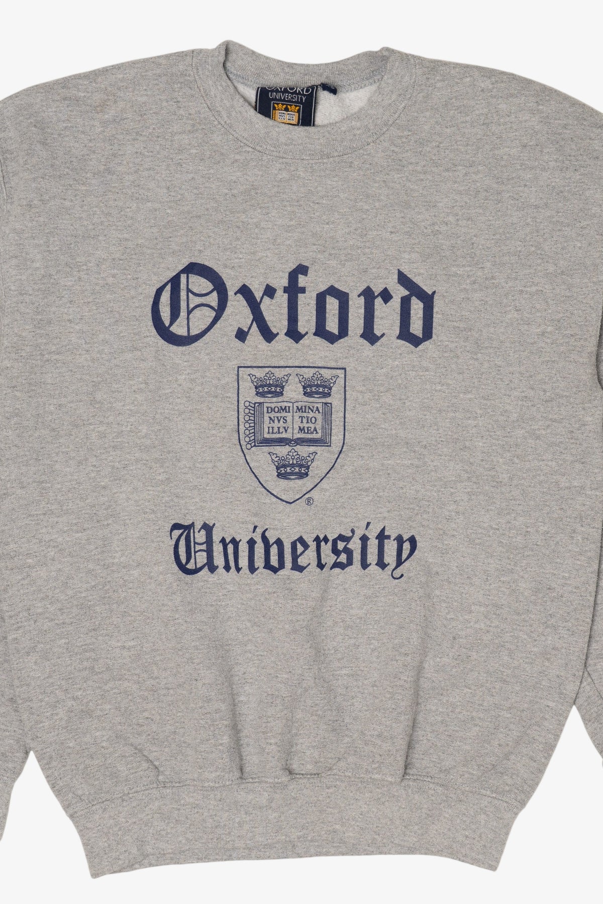 Vintage Gray Oxford University Sweatshirt (1990s)